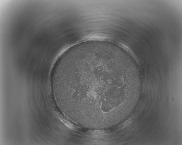 X0000067901027200604171357