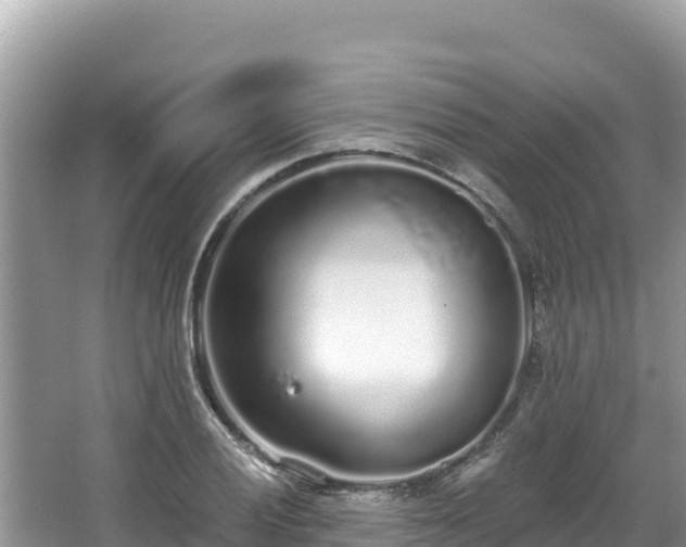 X0000067901028200604171357