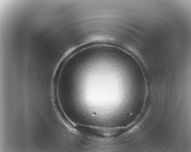 X0000067901029200604171357