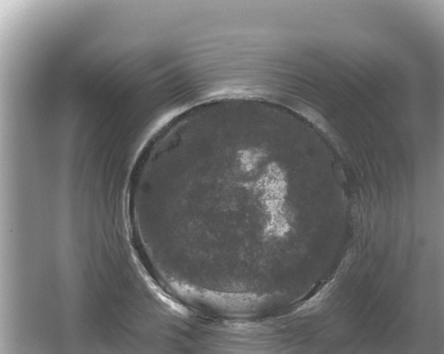 X0000067901030200604171357