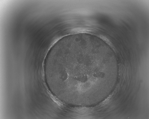 X0000067901031200604171357