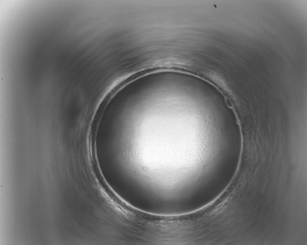 X0000067901032200604171357