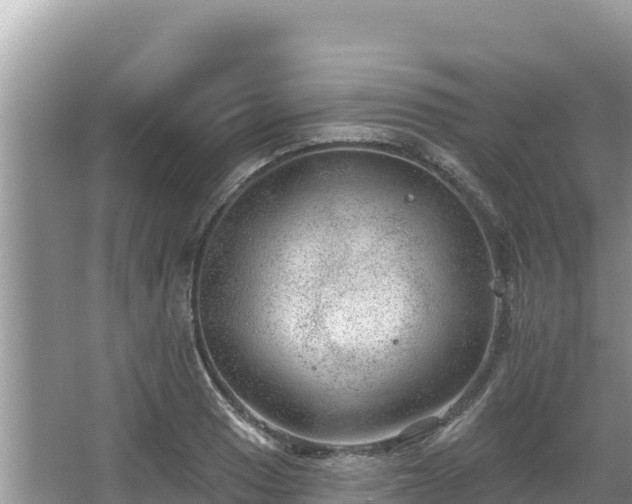 X0000067901033200604171357