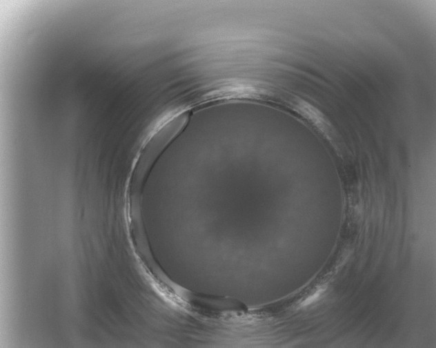 X0000067901034200604171357