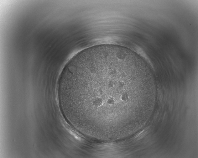 X0000067901035200604171357