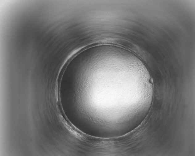 X0000067901036200604171358