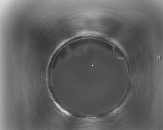 X0000067901037200604171358