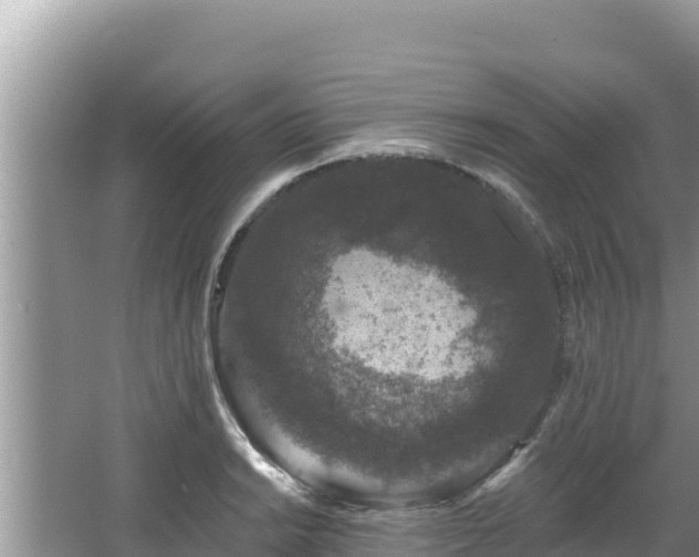 X0000067901038200604171358