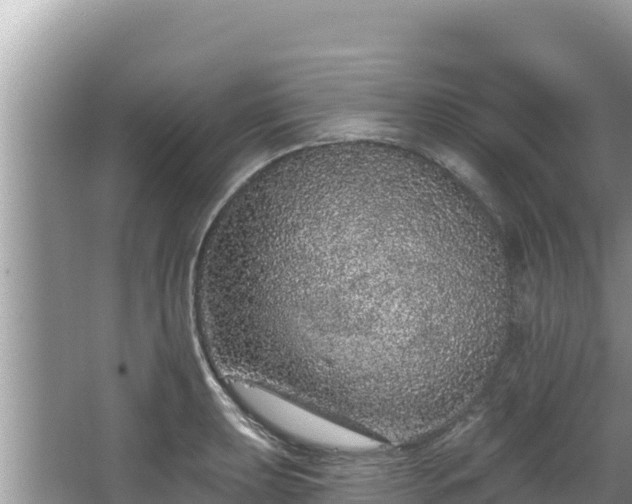 X0000067901039200604171358