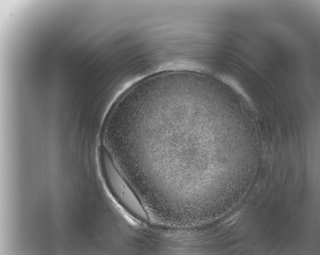 X0000067901040200604171358