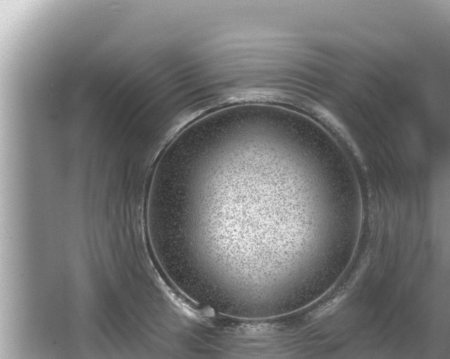 X0000067901041200604171358