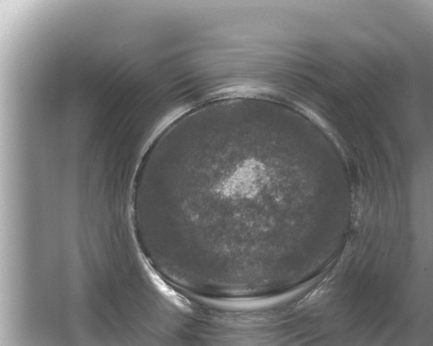 X0000067901042200604171358