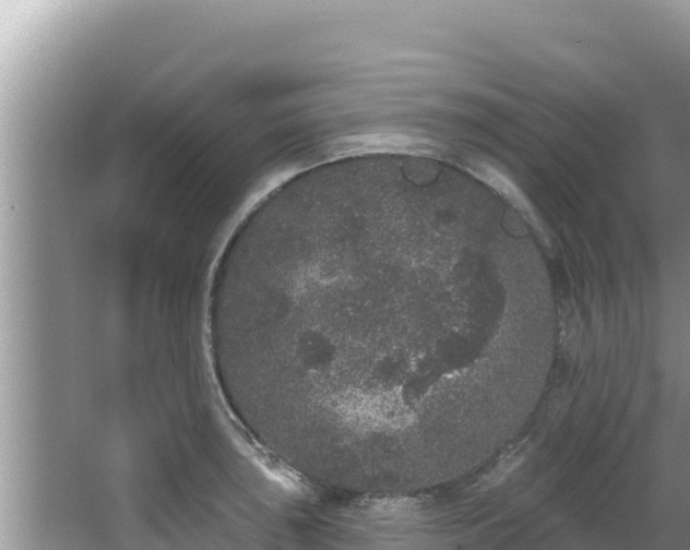 X0000067901043200604171358