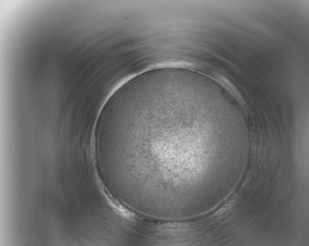 X0000067901044200604171358