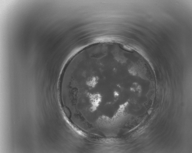 X0000067901045200604171358