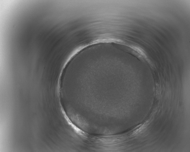 X0000067901046200604171358