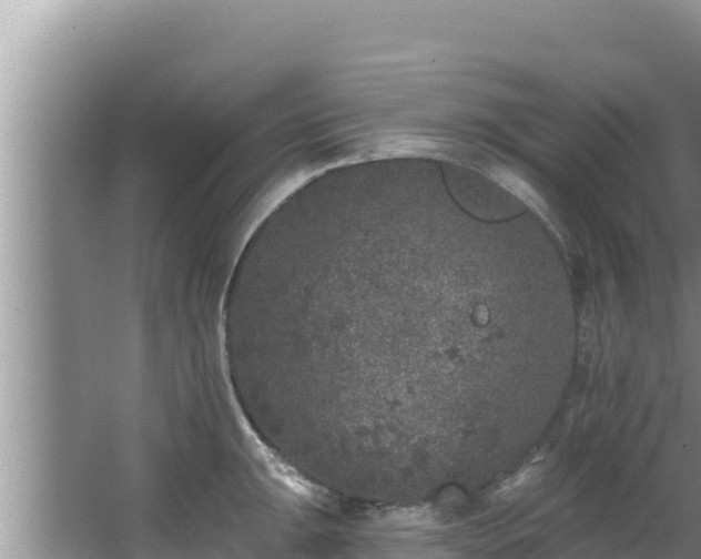 X0000067901047200604171358