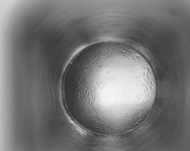 X0000067901048200604171358