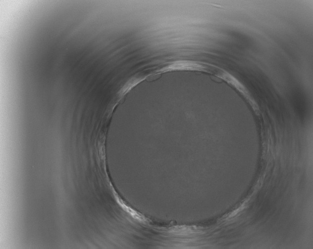 X0000067901049200604171358