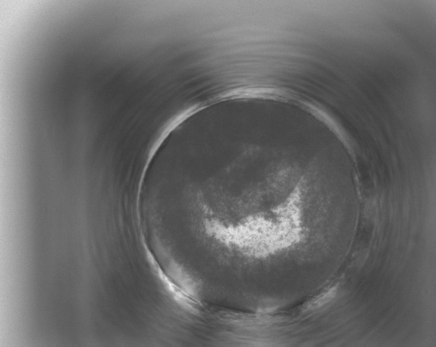 X0000067901050200604171358