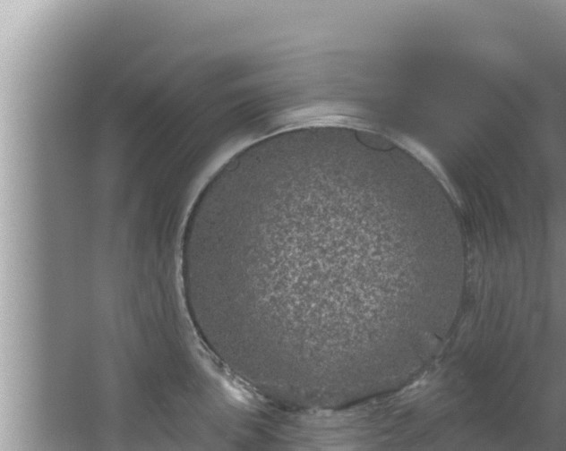 X0000067901051200604171358