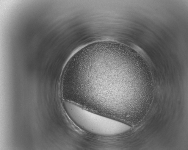 X0000067901052200604171358