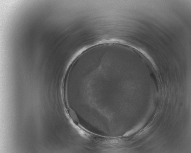 X0000067901054200604171358