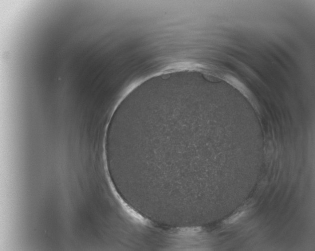 X0000067901055200604171358