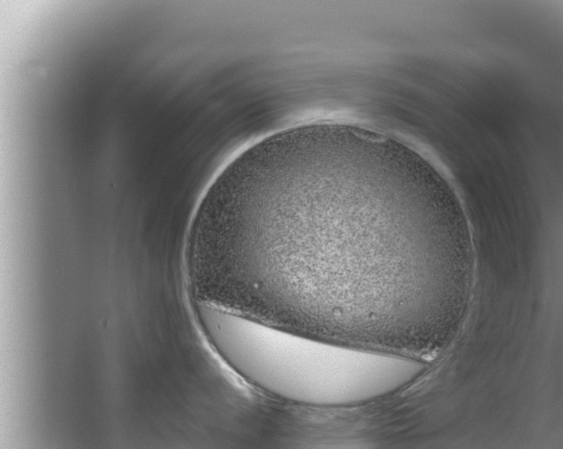 X0000067901056200604171358