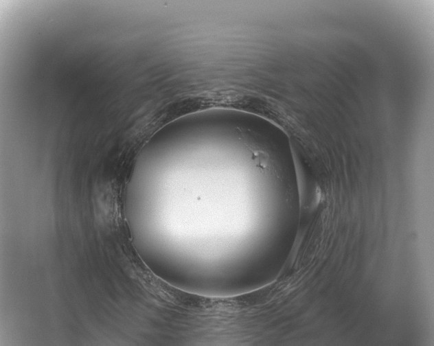 X0000067901058200604171357