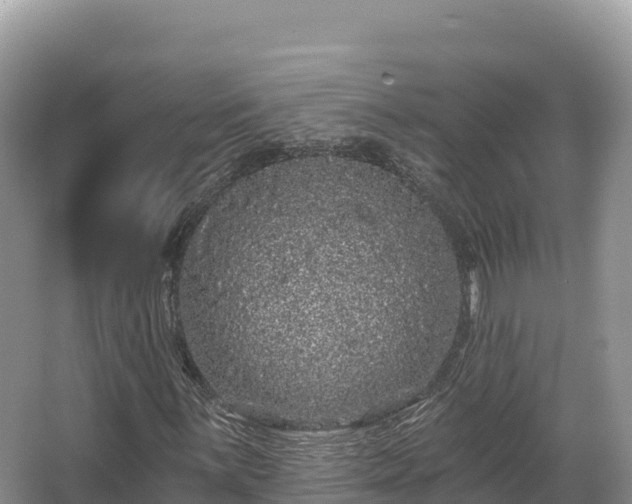 X0000067901059200604171357