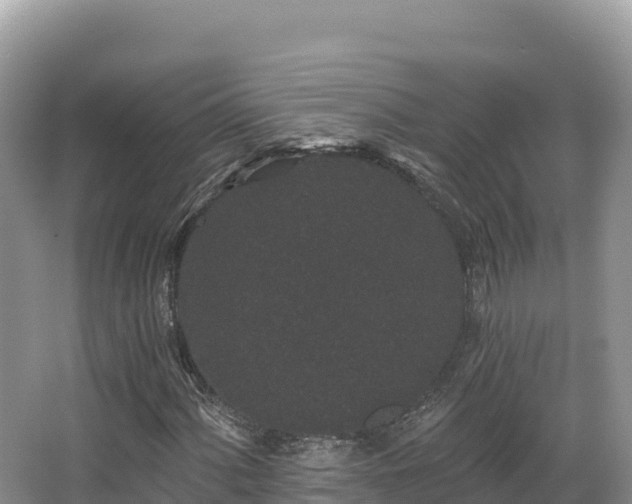 X0000067901060200604171357