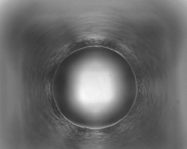 X0000067901061200604171357