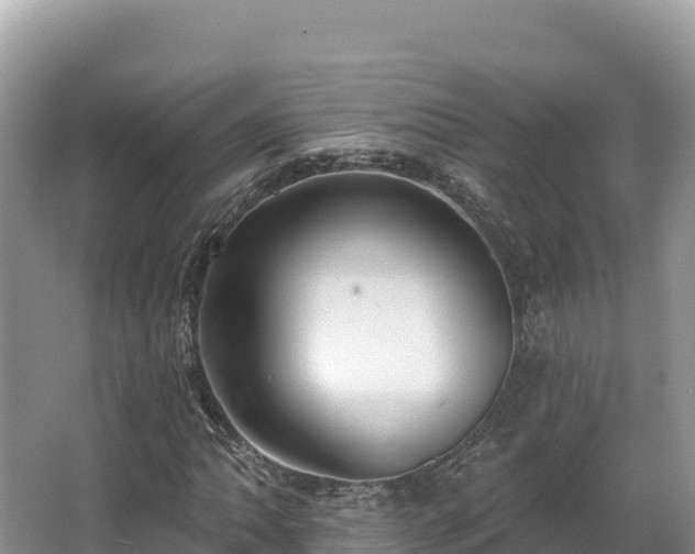 X0000067901062200604171357