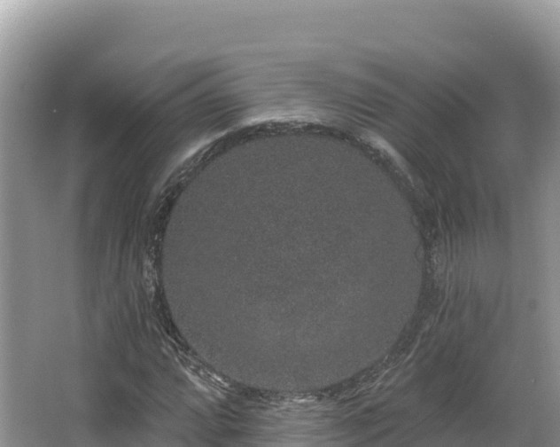 X0000067901064200604171357