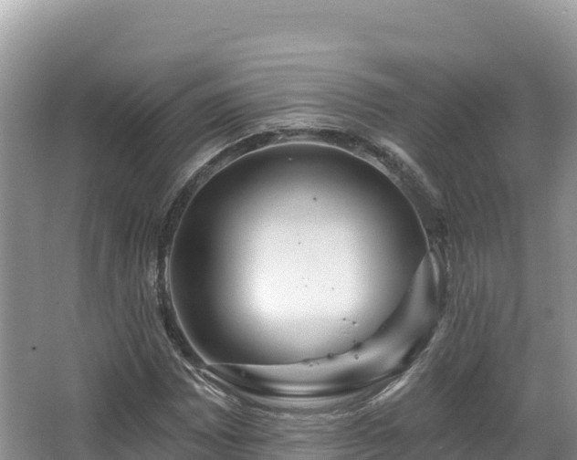 X0000067901065200604171357