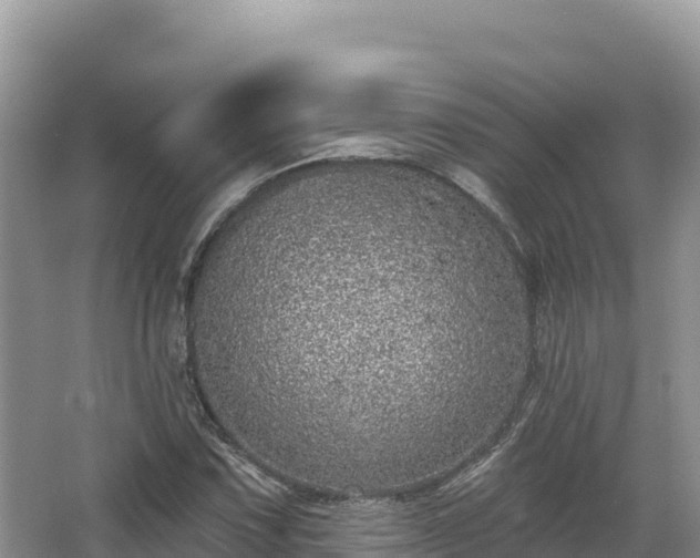 X0000067901067200604171357