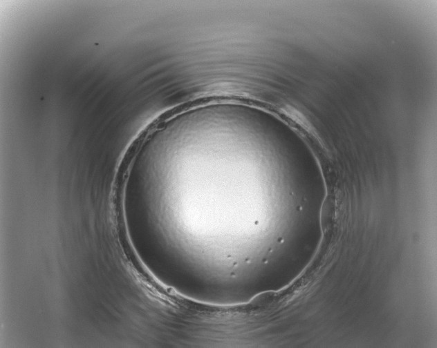 X0000067901068200604171357