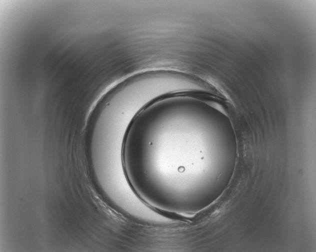 X0000067901069200604171357