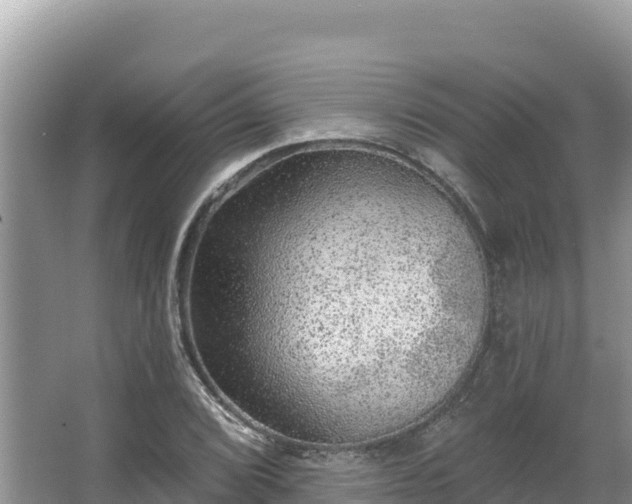 X0000067901072200604171357