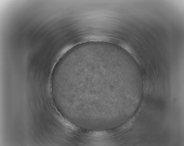 X0000067901074200604171357