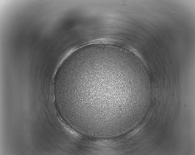 X0000067901075200604171357