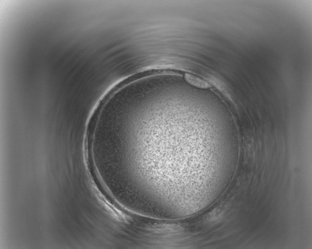 X0000067901076200604171357