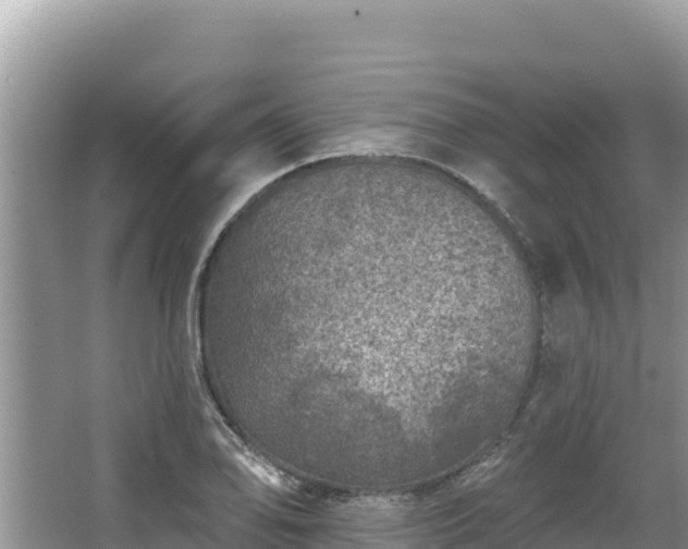 X0000067901078200604171357