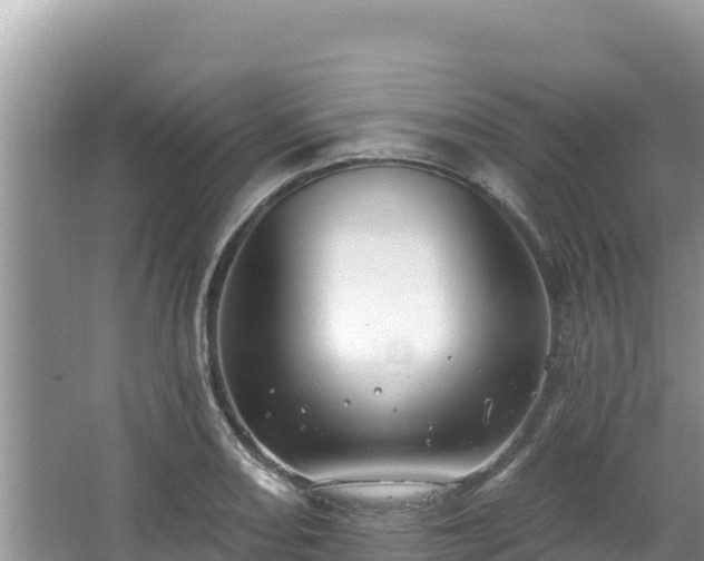 X0000067901082200604171357