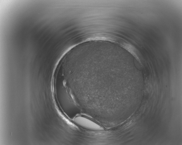 X0000067901084200604171357