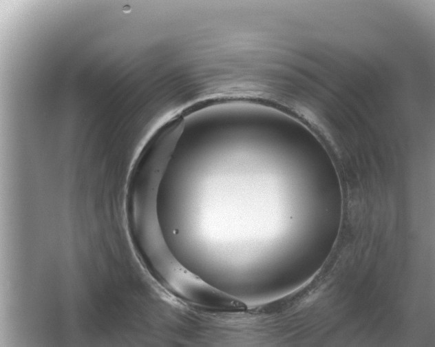 X0000067901085200604171357