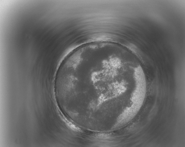 X0000067901086200604171357