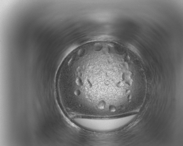 X0000067901087200604171357