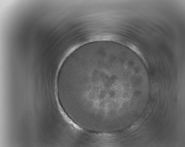 X0000067901088200604171357